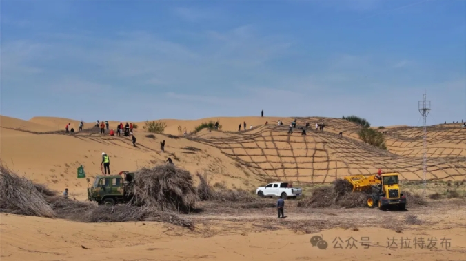 达拉特旗：加速推进防沙治沙工作 持续延伸生态绿线.jpg